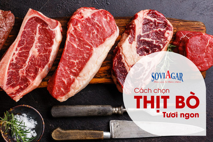 Hướng dẫn cách chọn thịt bò tươi ngon đúng chuẩn đầu bếp 5 sao