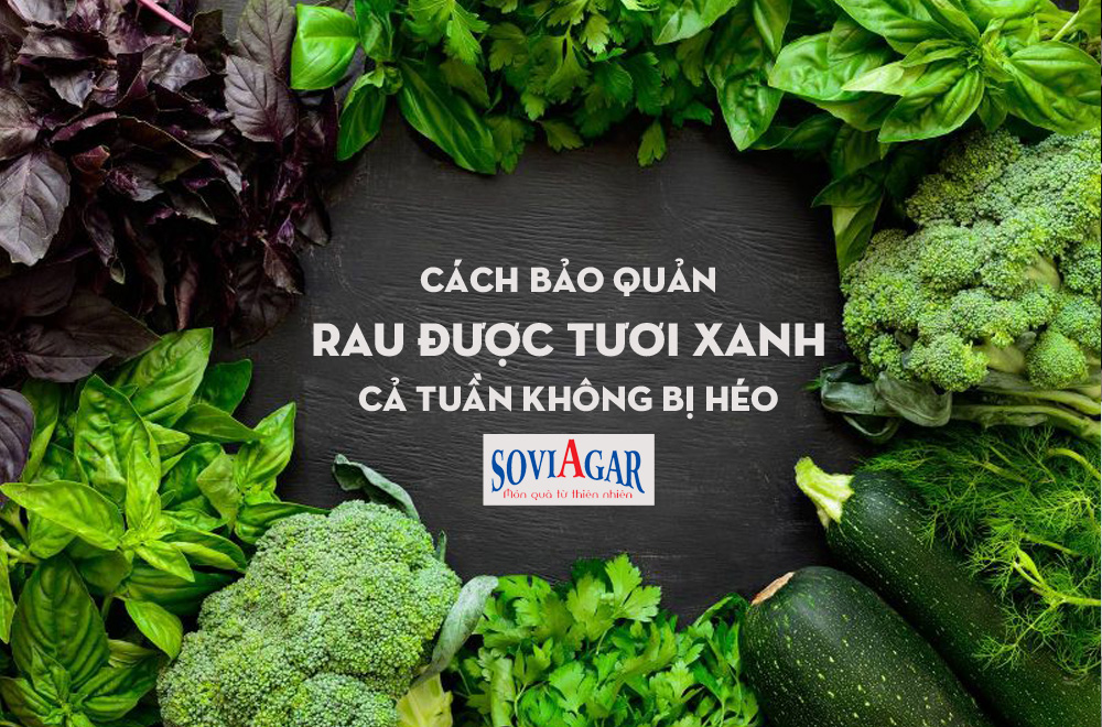 Cách bảo quản rau tươi xanh, cả tuần không bị héo