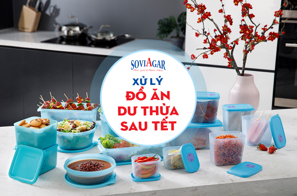Mách bạn cách xử lý các loại thức ăn còn dư thừa sau tết