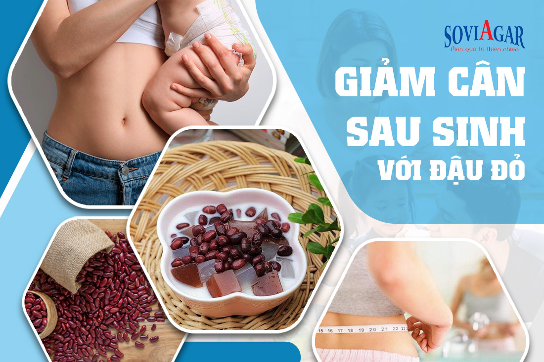 Giảm cân, lấy lại vóc dáng thon gọn sau khi sinh với đậu đỏ