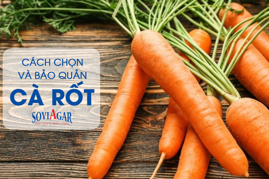 Bí quyết chọn và bảo quản cà rốt tươi lâu, đảm bảo chất dinh dưỡng 