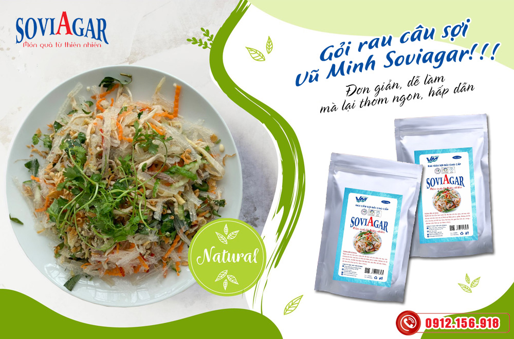 Nộm rau câu sợi dài Vũ Minh Soviagar - Chinh phục cả gia đình