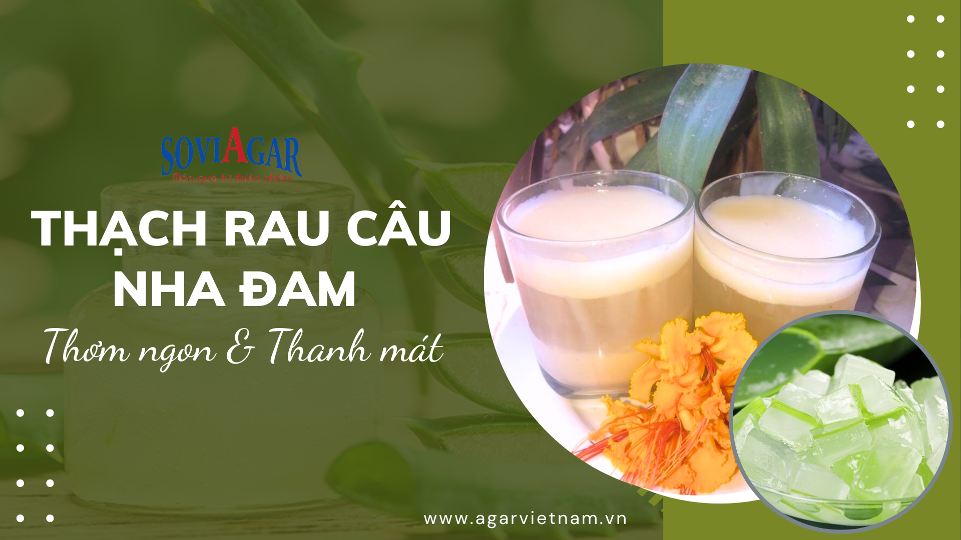 Công thức làm ngay thạch rau câu nha đam thơm ngon, thanh mát, siêu hấp dẫn ngay tại nhà