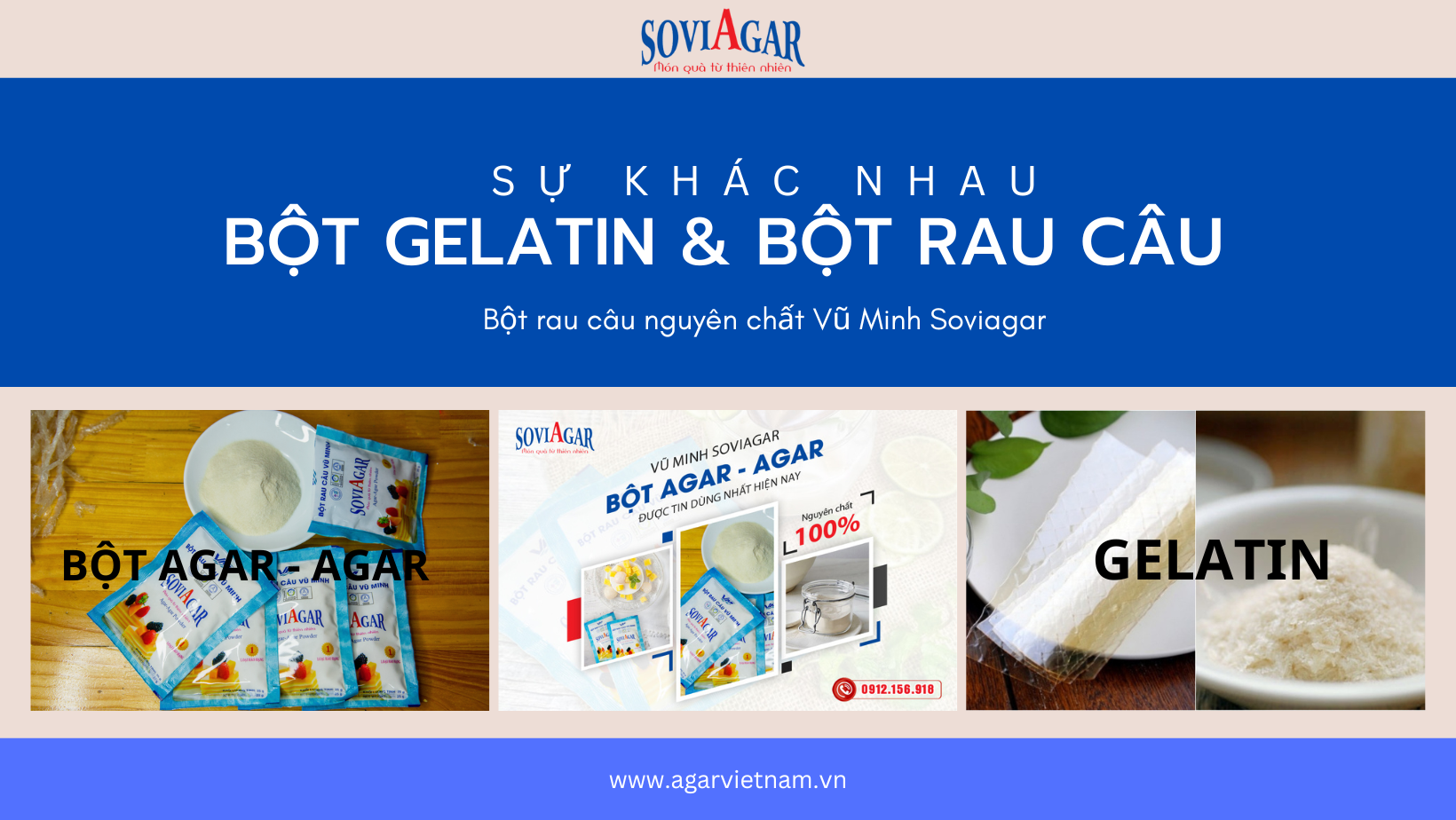 Bột gelatin có phải là bột rau câu không?