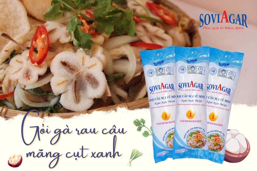 Thử ngay công thức gỏi gà rau câu măng cụt mới lạ, hấp dẫn