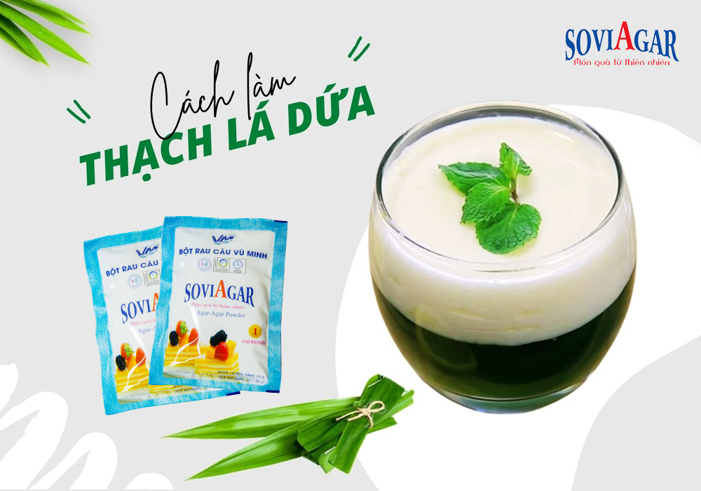 Thạch lá dứa mát lạnh, mềm mịn từ bột rau câu Vũ Minh Soviagar