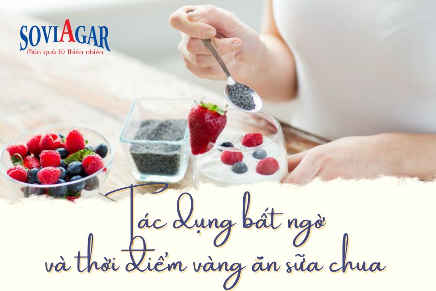 Tác dụng bất ngờ và thời điểm vàng ăn sữa chua để sống khoẻ mỗi ngày