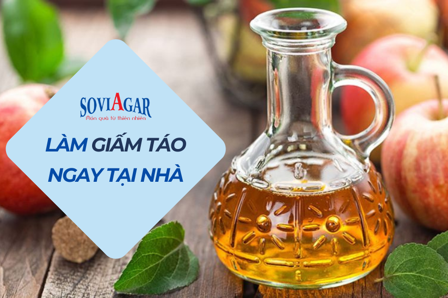 Cách làm giấm táo tại nhà thơm ngon, đơn giản nhất