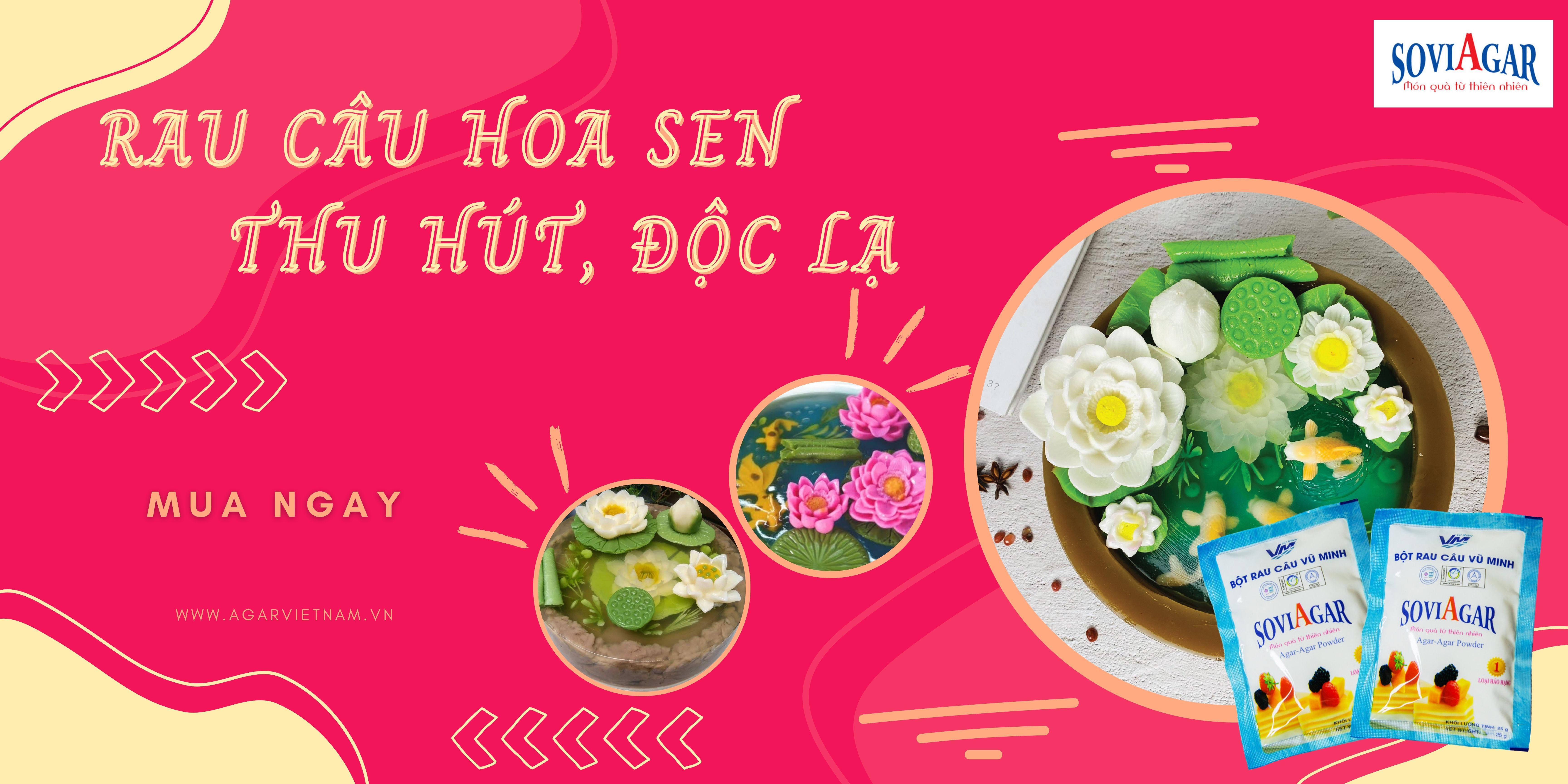 Cách làm rau câu hoa sen đầy thu hút đẹp, độc lạ