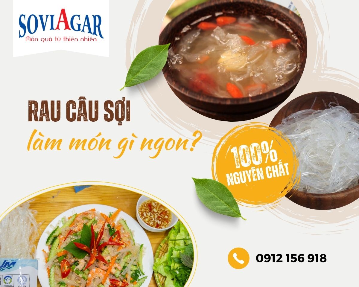 Rau câu sợi dài Vũ Minh Soviagar làm món gì ngon?