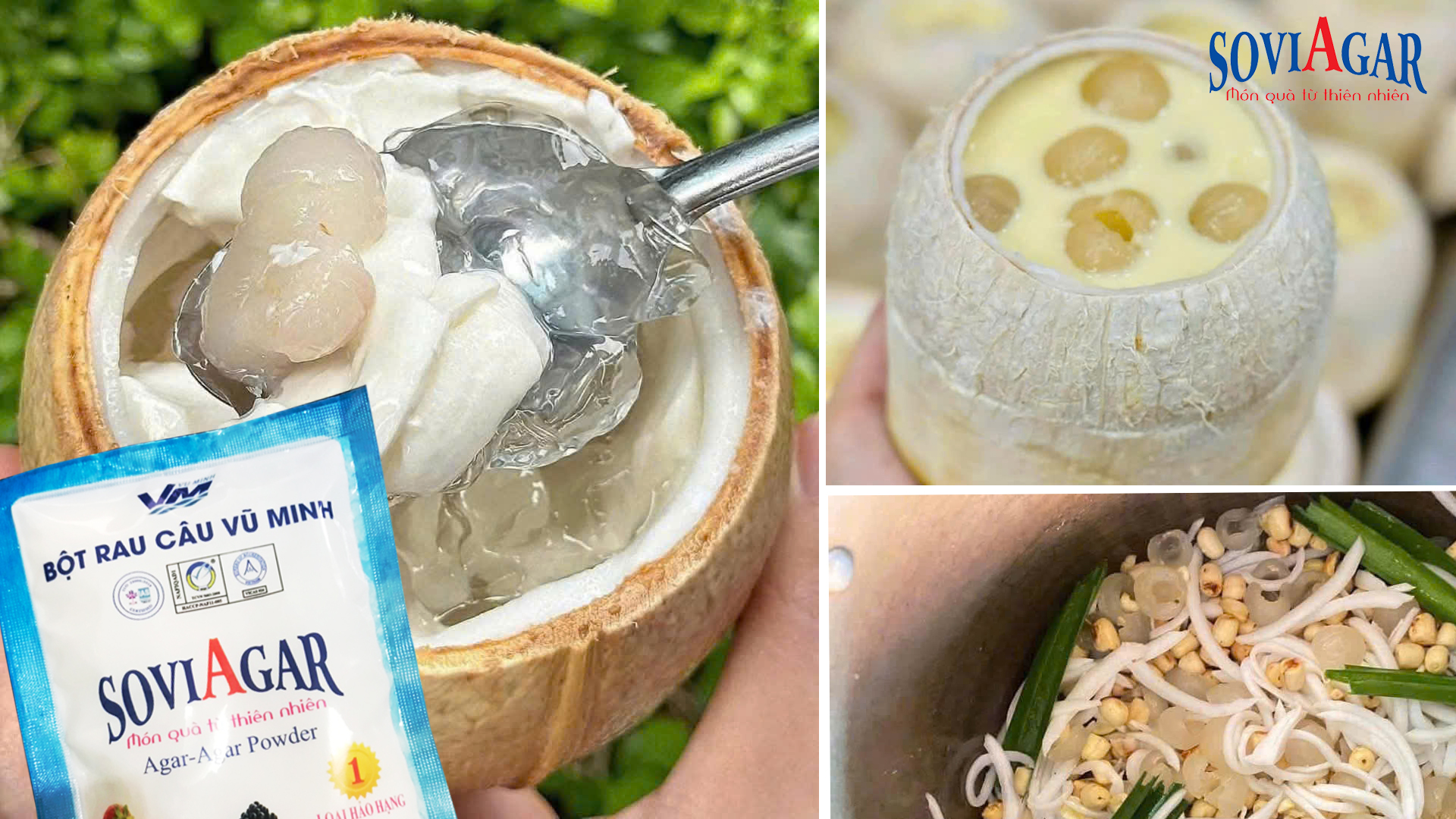 Mềm Mịn, Thơm Ngậy – Thạch Sữa Dừa Hạt Sen Long Nhãn Tuyệt Hảo