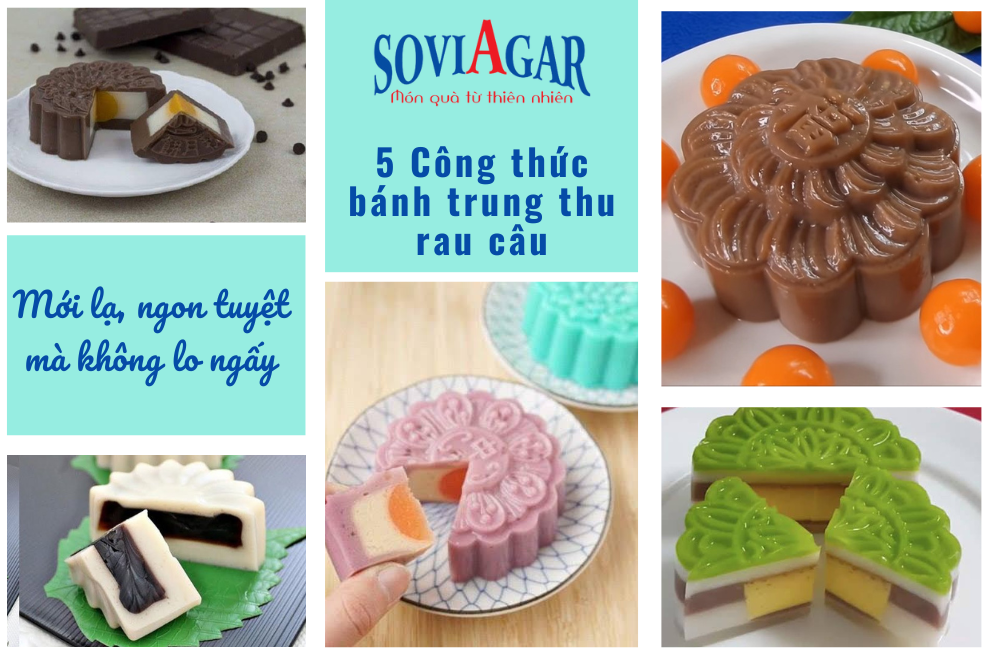 Gợi Ý 5 Công Thức Bánh Trung Thu Rau Câu Đáng Thử Nhất Mùa Trăng Này