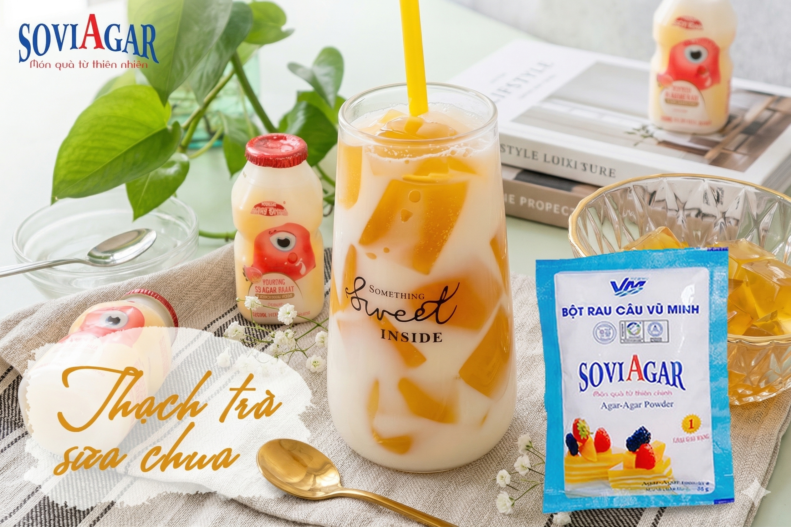 Làm Thạch Trà Sữa Chua Từ Bột Rau Câu Vũ Minh Soviagar – Công Thức Đơn Giản, Ngon Mát