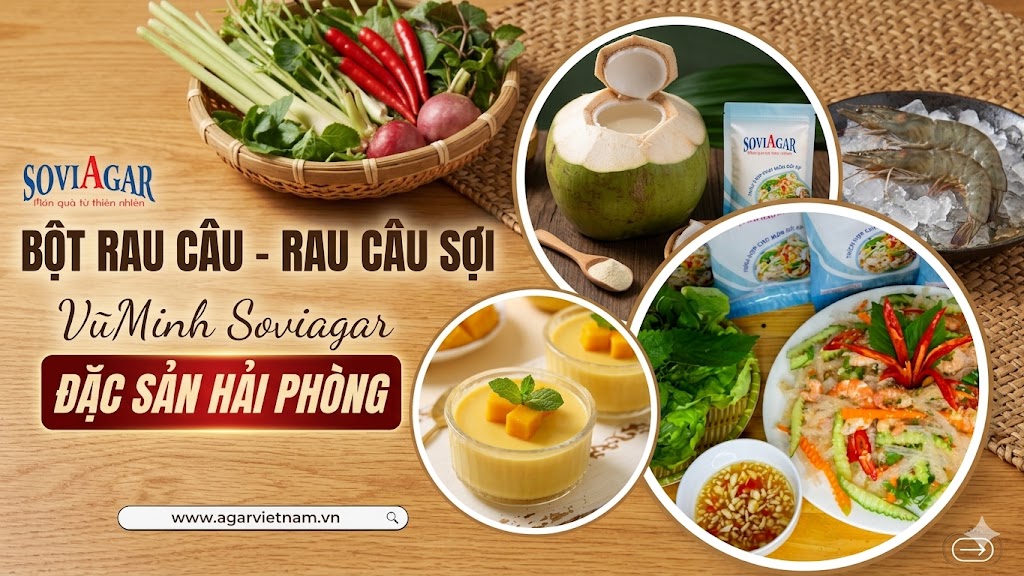 Đặc Sản Hải Phòng: Bột Rau Câu & Rau Câu Sợi Vũ Minh Soviagar - Bí Quyết Dinh Dưỡng Từ Biển Cả