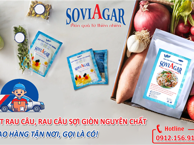 Bột Rau Câu Giòn - Chuẩn Ngon, Chuẩn Sạch, Chuẩn Chuyên Gia