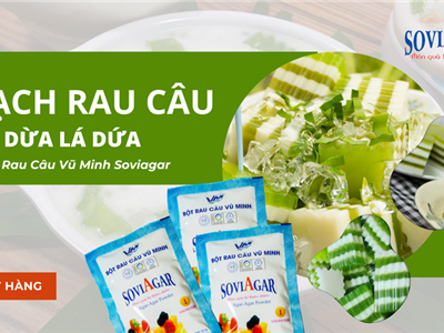 Mướt Mịn & Ngát Xanh – Thạch Dừa Lá Dứa Gây Mê Mọi Ánh Nhìn