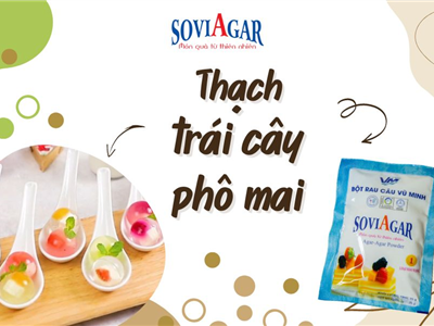 Thạch Phô Mai Trái Cây – Kết Hợp Hoàn Hảo Giữa Vị Chua Ngọt Và Béo Ngậy
