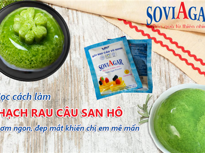 Thạch San Hô Lung Linh – Món Quà Từ Đại Dương Với Rau Câu Vũ Minh Soviagar