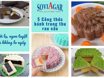 Gợi Ý 5 Công Thức Bánh Trung Thu Rau Câu Đáng Thử Nhất Mùa Trăng Này