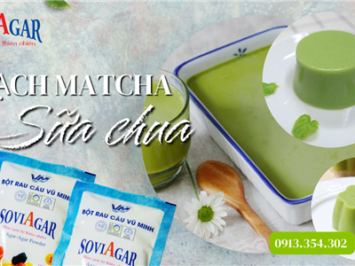 Chạm Đến Vị Ngon Thanh Mát Với Thạch Matcha Sữa Chua Từ Bột Rau Câu Vũ Minh Soviagar