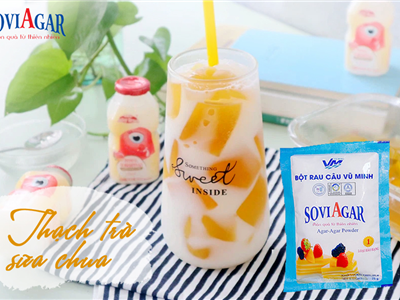 Làm Thạch Trà Sữa Chua – Ngon Mát & Lành Từ Bột Agar-Agar Vũ Minh