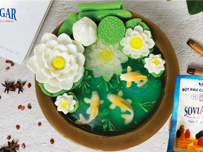 Đa Sắc Màu, Đa Hương Vị: Bánh Thạch Rau Câu Cho Ngày Sinh Nhật