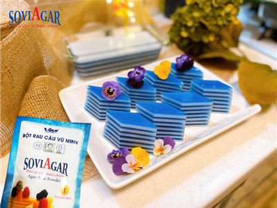 Sắc Xanh Tinh Khiết – Thạch Hoa Đậu Biếc Làm Từ Bột Rau Câu Vũ Minh SoviAgar