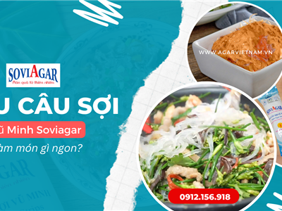 Rau Câu Sợi Dài Vũ Minh Soviagar – Biến Tấu Đa Dạng, Món Nào Cũng Ngon