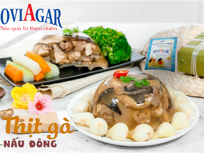 Vũ Minh Soviagar – Bí Quyết Cho Món Gà Nấu Đông Dẻo Ngon, Chuẩn Vị Việt