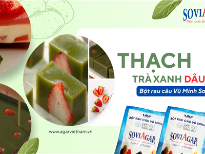 Thơm Dâu – Đậm Trà – Ngon Chuẩn Vị: Thạch Trà Xanh Dâu Tây Được Ưa Chuộng Nhất