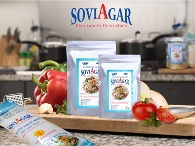 Tận Hưởng Hương Vị Đặc Sản Đất Cảng Với Rau Câu Sợi Dài Vũ Minh