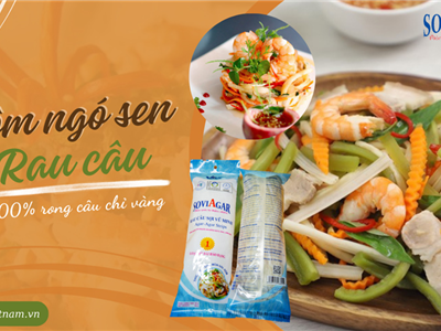 Sự Kết Hợp Hoàn Hảo: Ngó Sen Thanh Ngọt & Rau Câu Sợi Dai Giòn Vũ Minh Soviagar