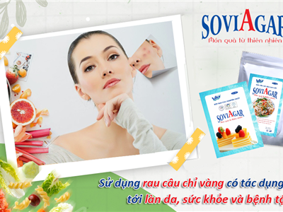 Giải Nhiệt – Đẹp Da – Giữ Dáng: Tất Cả Có Trong Rau Câu Soviagar