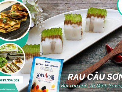 Top Món Thạch Hot Trend 2026 Bạn Có Thể Làm Ngay Tại Nhà Với Soviagar