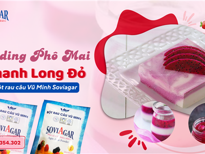 Cách Làm Bánh Pudding Phô Mai Thanh Long Đỏ Thơm Béo, Ngọt Mát