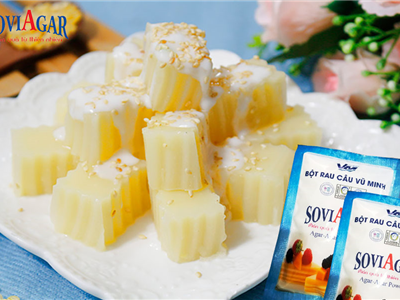 Thạch Đậu Xanh Cốt Dừa Thanh Mát, Béo Bùi – Lựa Chọn Hoàn Hảo Với SoviAgar