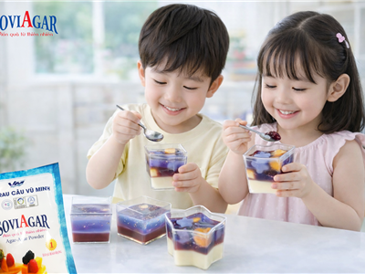 Gợi Ý Món Thạch Ngon Bổ Dương Từ Bột Rau Câu Vũ Minh Soviagar Cho Bé Yêu