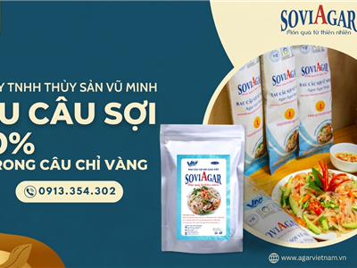 Rau Câu Sợi 100% Rong Câu Chỉ Vàng – Giải Pháp Thực Phẩm Ngon, Giòn, Tốt Cho Sức Khỏe