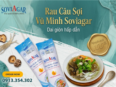 Tự Làm Canh Rau Câu Sợi Vũ Minh SoviAgar Tại Nhà – Thanh Mát, Dễ Làm, Cực Ngon