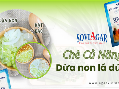CHÈ CỦ NĂNG DỪA NGON LÁ DỨA TỪ BỘT RAU CÂU VŨ MINH SOVIAGAR – MÓN TRÁNG MIỆNG THANH MÁT, GIÒN NGON KHÓ CƯỠNG