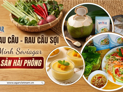 Đặc Sản Hải Phòng: Bột Rau Câu & Rau Câu Sợi Vũ Minh Soviagar - Bí Quyết Dinh Dưỡng Từ Biển Cả
