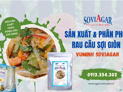 Món Ngon Từ Rau Câu Sợi Vũ Minh SoviAgar - Thanh Mát, Giòn Dai Đầy Cuốn Hút