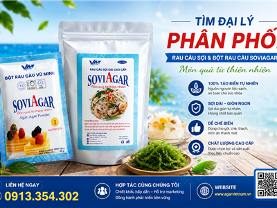Tìm Đại Lý Phân Phối Bột Rau Câu, Rau Câu Sợi Vũ Minh SoviAgar – Cơ Hội Kinh Doanh Hấp Dẫn 2026