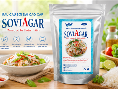 Tổng Hợp Những Món Ăn Ngon, Lạ Miệng Từ Rau Câu Sợi Dài Cao Cấp SoviAgar