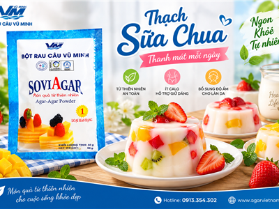 Thạch Sữa Chua SOVIAGAR – Món Tráng Miệng Mềm Mịn, Thơm Ngon, Thanh Mát Tại Nhà