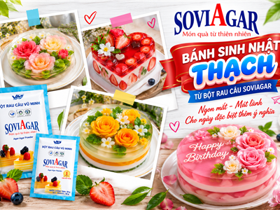 BÁNH SINH NHẬT THẠCH RAU CÂU ĐẸP MẮT, THANH MÁT VÀ ĐỘC ĐÁO