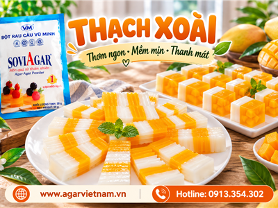 Bí Quyết Làm Thạch Xoài Hai Màu Dai Giòn, Vàng Óng Hấp Dẫn